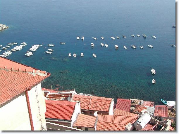 scilla - ntacalabria - m_morano_jpg